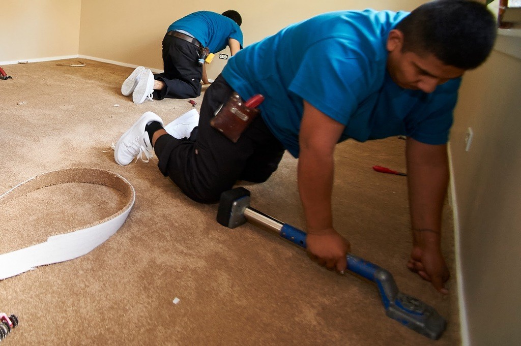 We Come to You Chicago Carpet Company Mr Carpet Shop at Home Top Rated